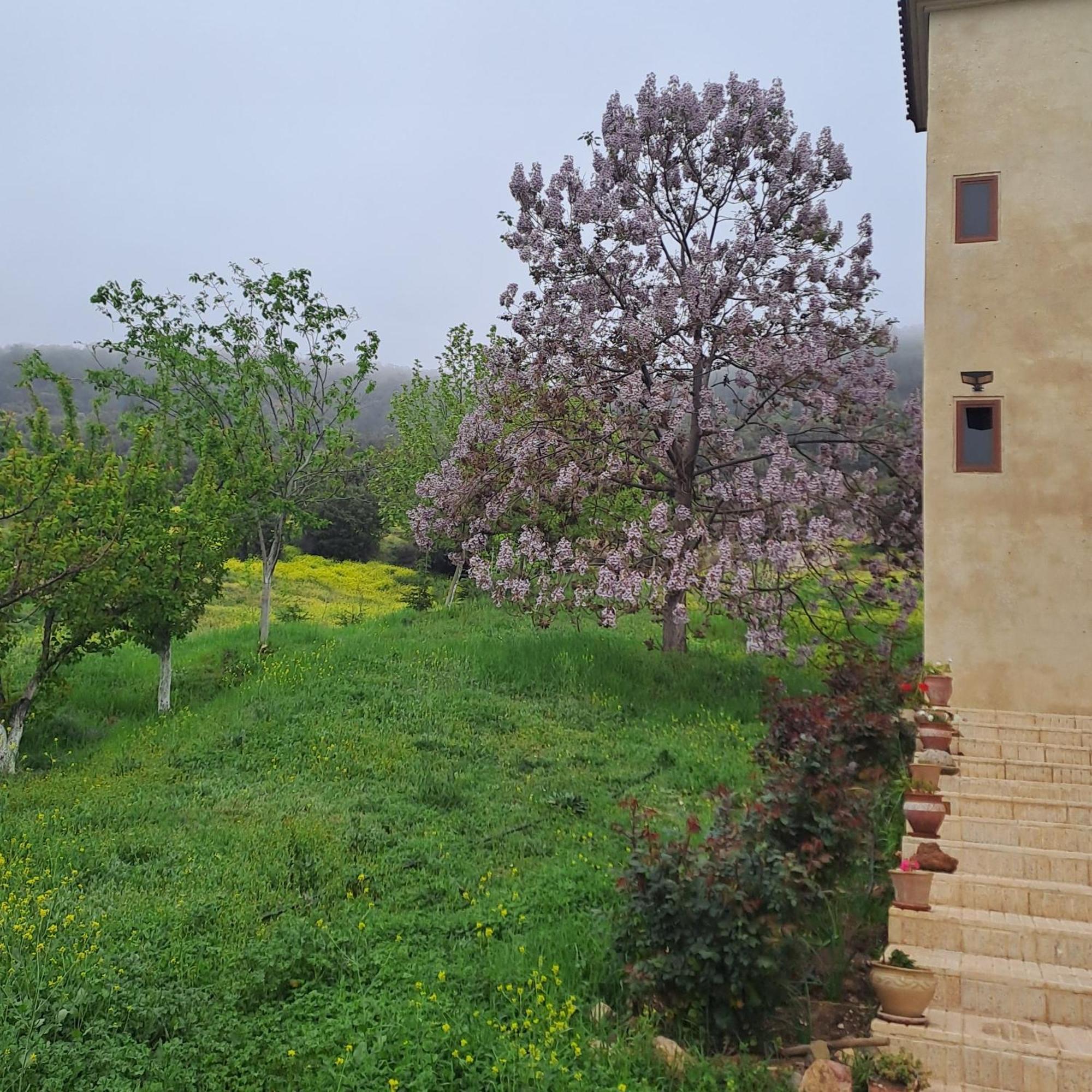 Le Chene D'Azrou Hotel Buitenkant foto