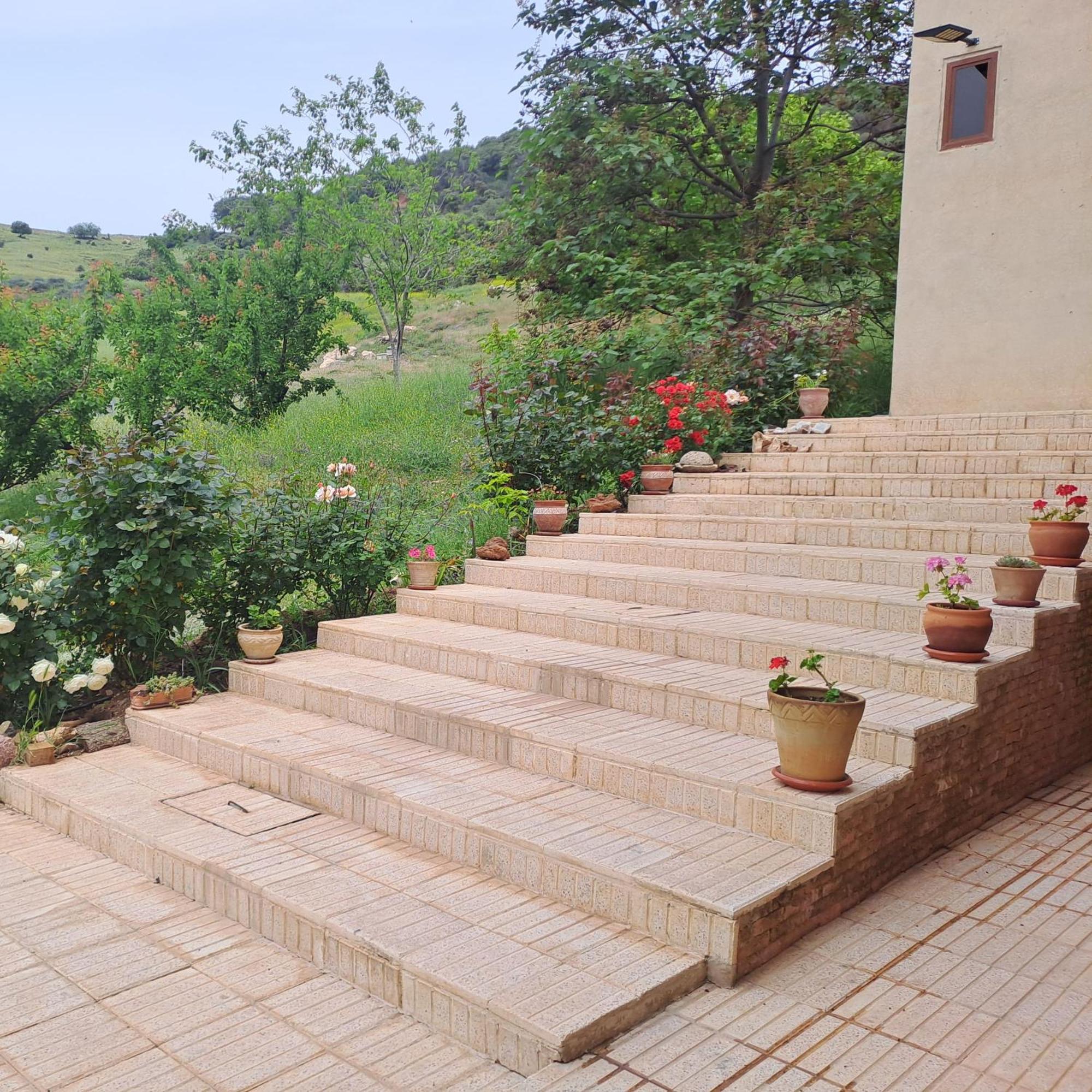 Le Chene D'Azrou Hotel Buitenkant foto