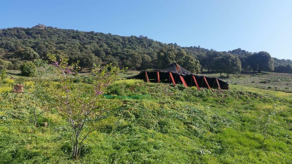 Le Chene D'Azrou Hotel Buitenkant foto