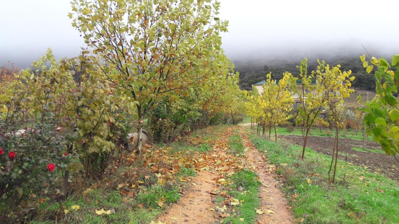 Le Chene D'Azrou Hotel Buitenkant foto